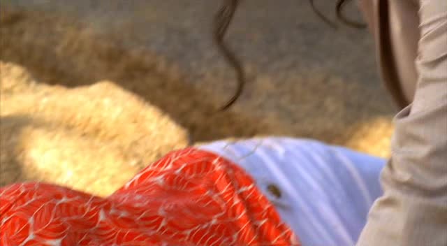 Kriminálka Miami 05x08 Temná komora avi