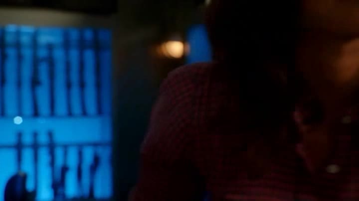 NCIS LA 4 22 Havrani a labutě DVB Tcz avi