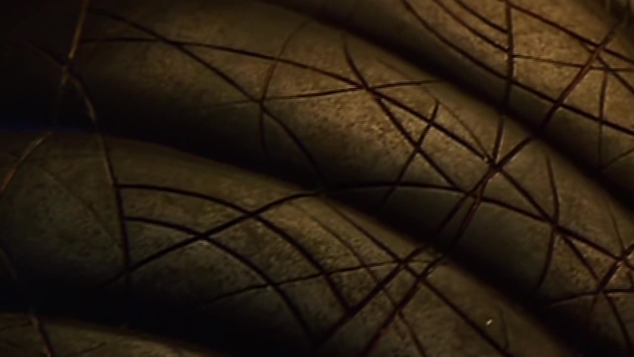 Hvezdna brana SG1 04x19 Zazracne dite mkv