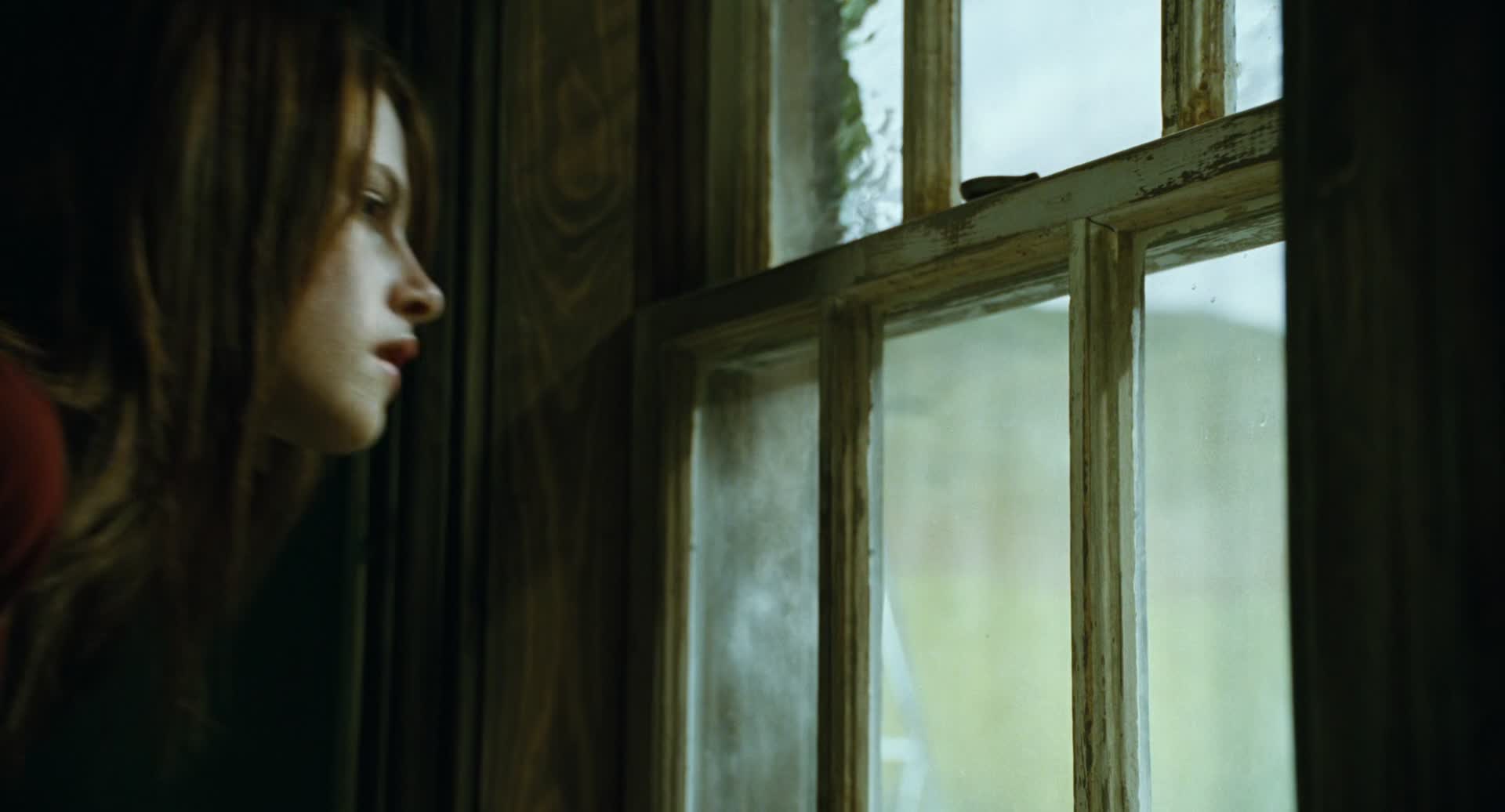 Prokletí domu slunečnic 2007 CZ dab 1080p mkv