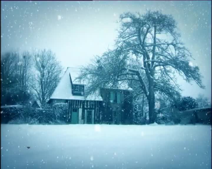 Minuscule S01 the Winter of Our Discontent (en 576p) mp4