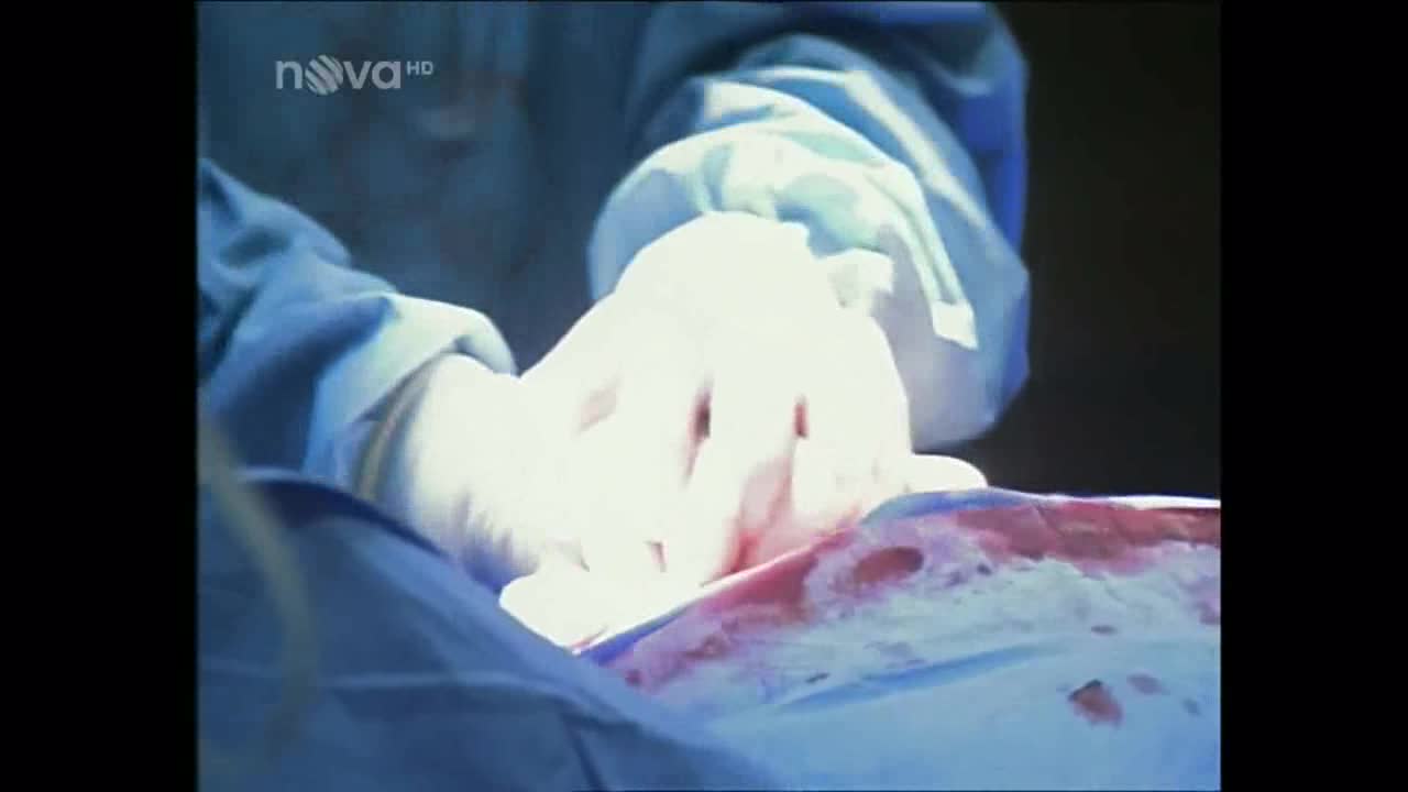 Město andělů =1998, CZ avi