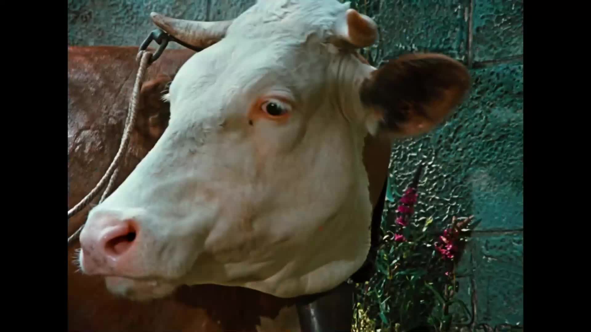 Šíleně smutná princezna {1968} pohádka, hudební, komedie 1080p mkv