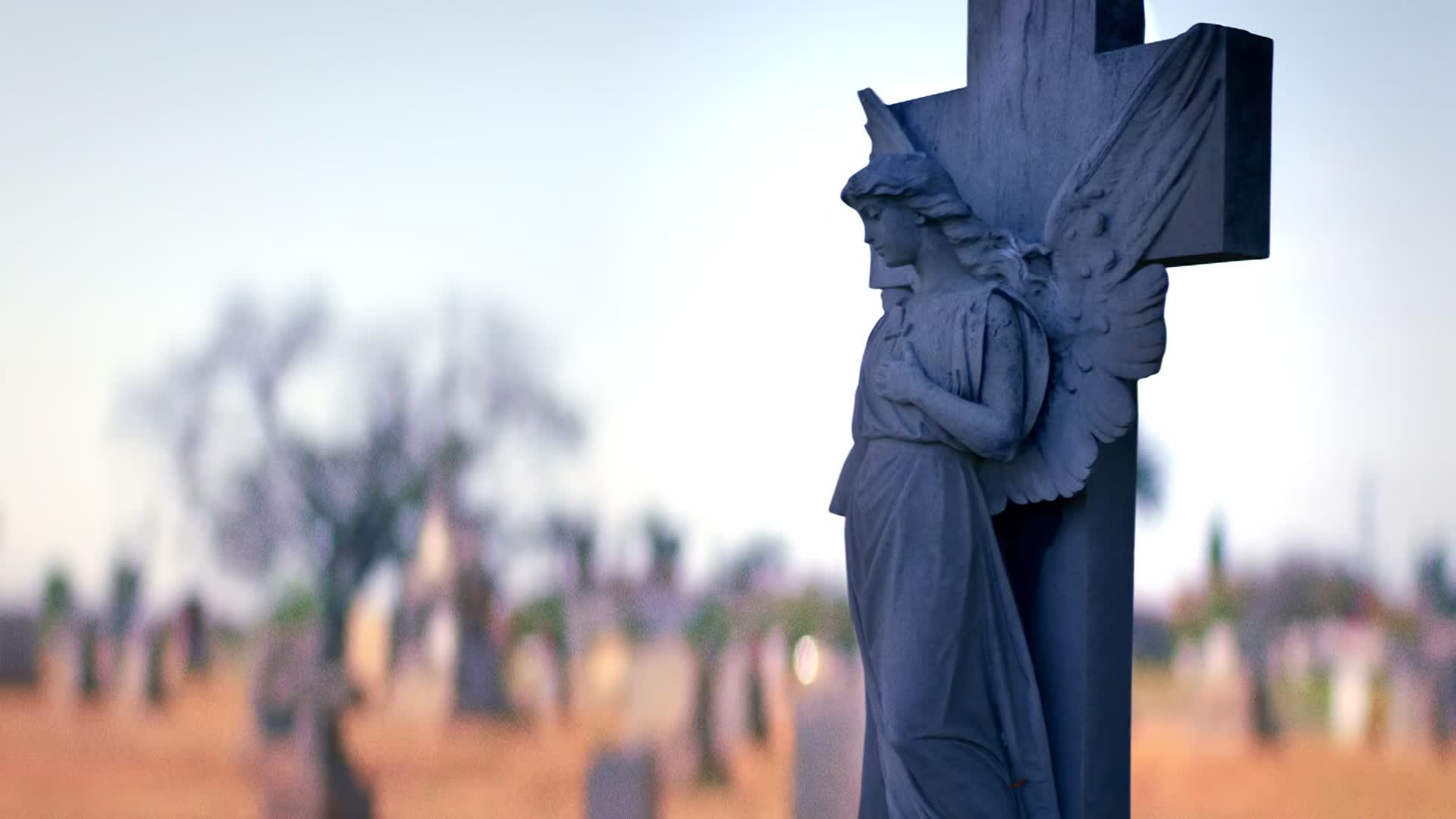 Zákon gangu Mayové S01E06 10 2018 CZ dab 1080p Gato Mis mkv