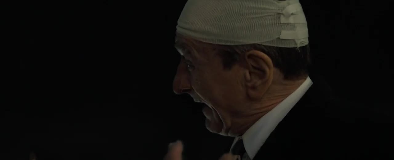 Dvě tváře zločinu 2025 CZ dab 720p mp4