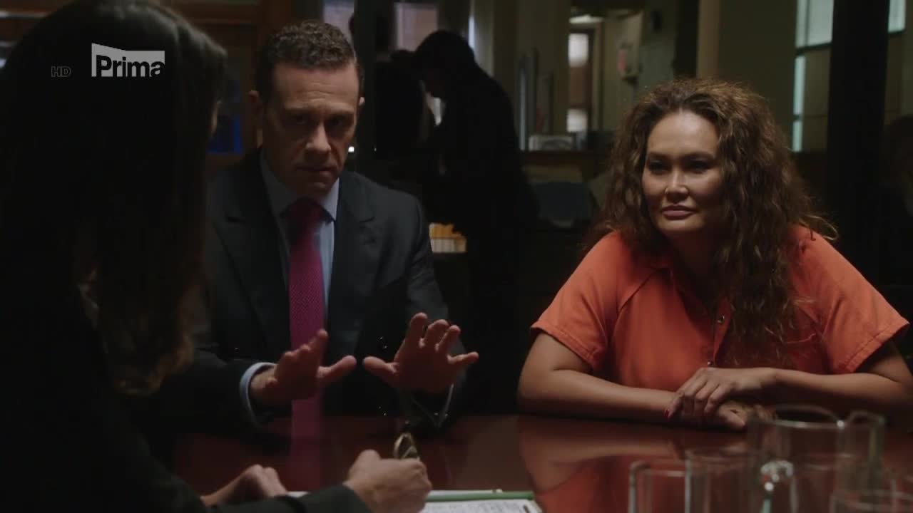 Spravedlnost v krvi (Blue Bloods) S08E02 Nepřítel mého nepřítele mp4