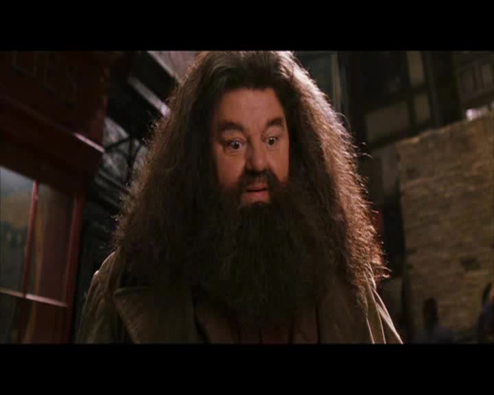 Harry Potter II Tajemná komnata avi