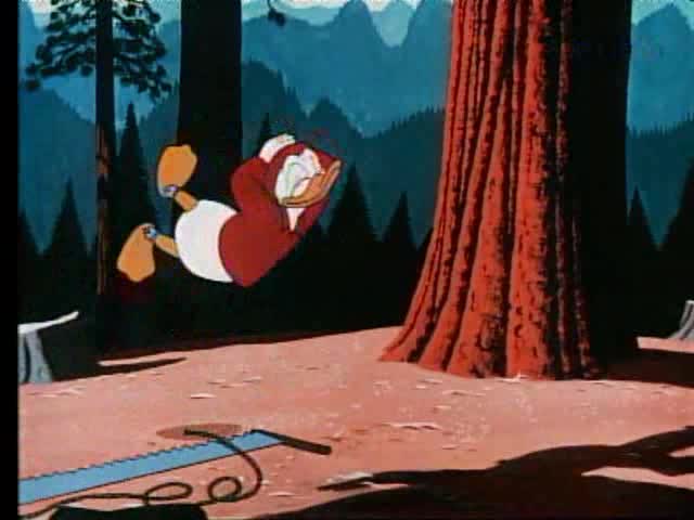 Donald Duck 1955 Up A Tree avi