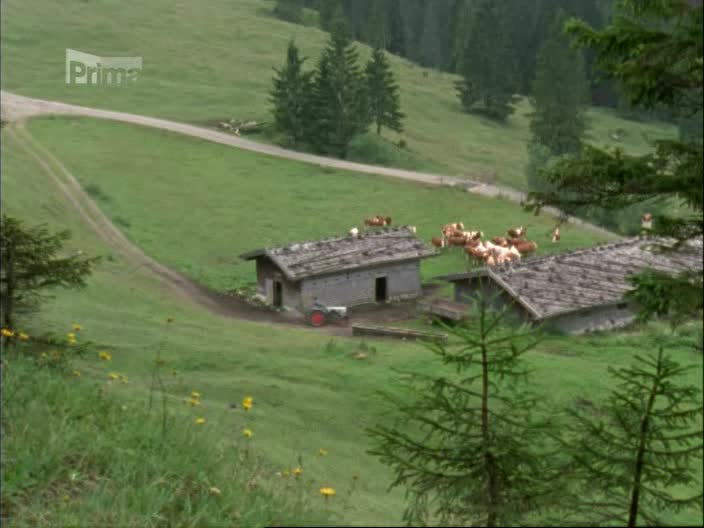 S09 E41 Big Ben 2003 Malování s Vincentem Malen mit Vincent avi