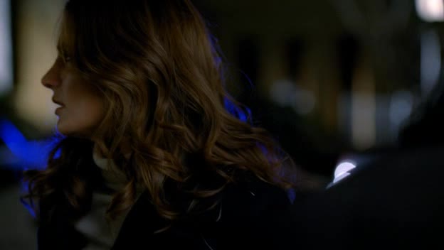 Castle na zabiti S03E15 Poslední hřebíček avi