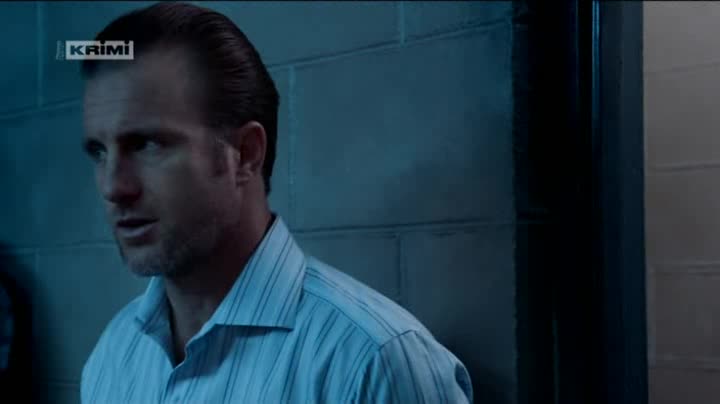 Hawaii 5 0 S08E17 Oheň vzplál, zůstal jen popel avi