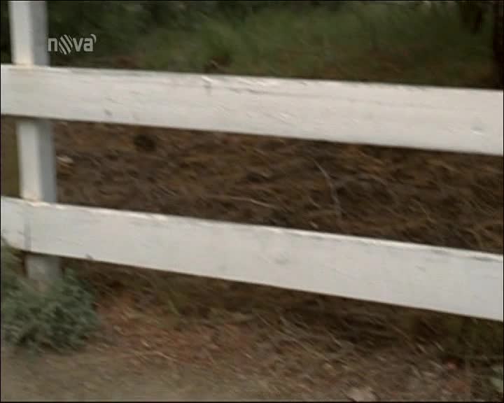 Mentalista IV (03) Rudé balónky mp4