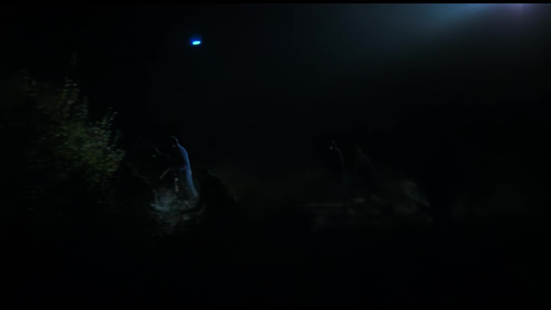 Hraniční čára 1980 CZ dab 1080p mkv