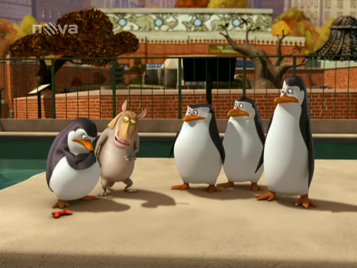 Tučňáci z Madagaskaru S02E11 Frakostein Přežití v betonové džungli mp4