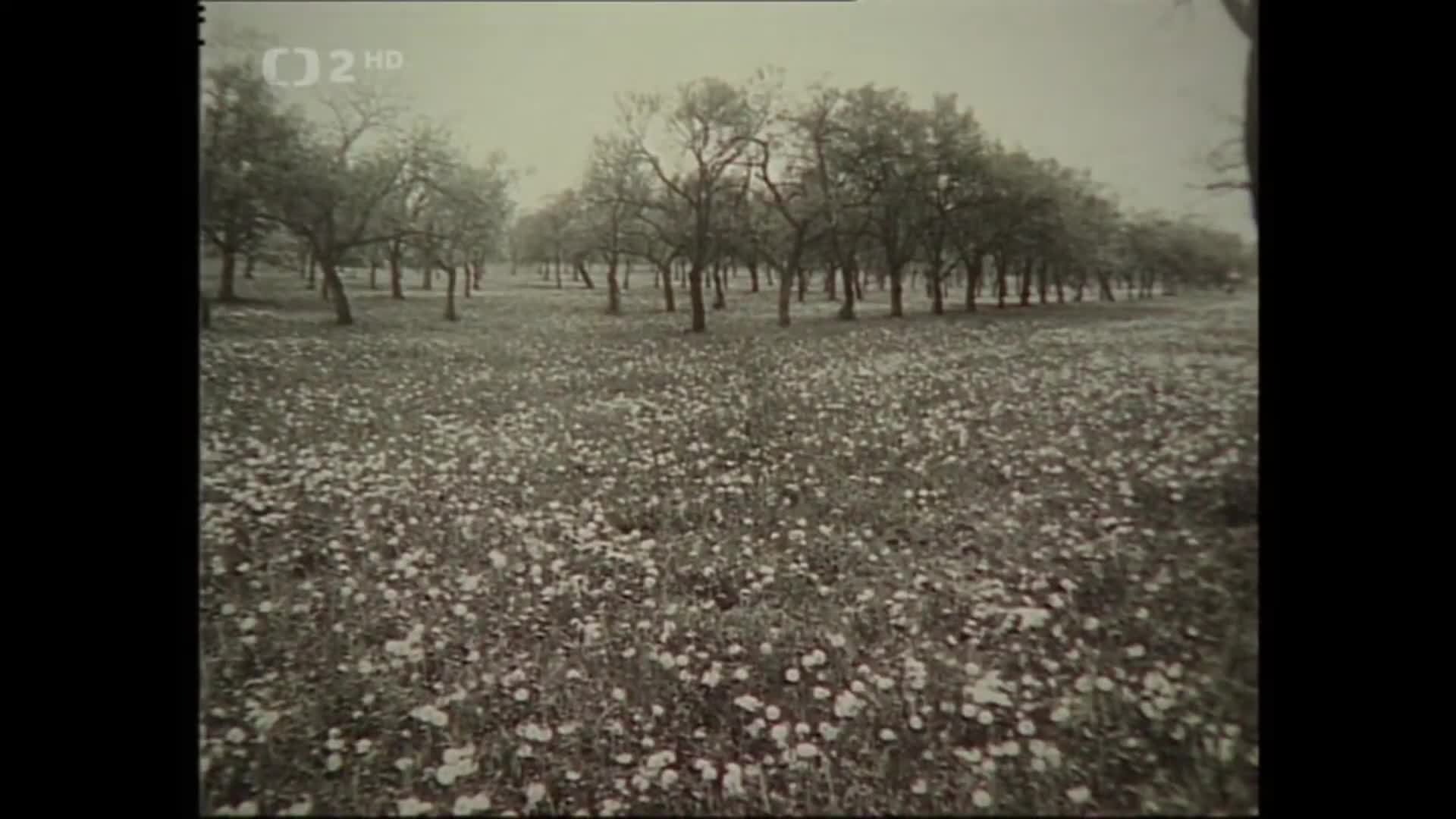 Hledání ztraceného času Masarykovy domovy mkv