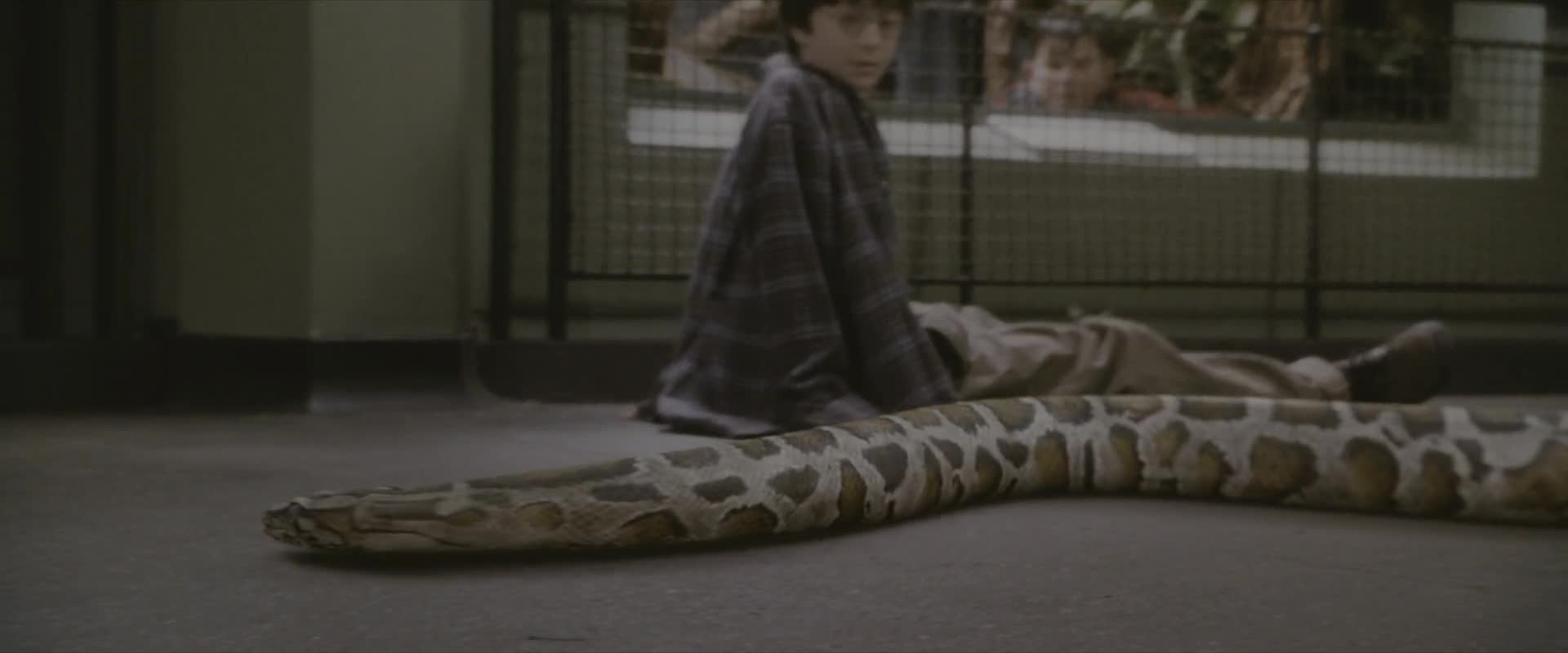 Harry Potter 1 A Kamen Mudrcu  2001  1080p CZ dabing.mkv