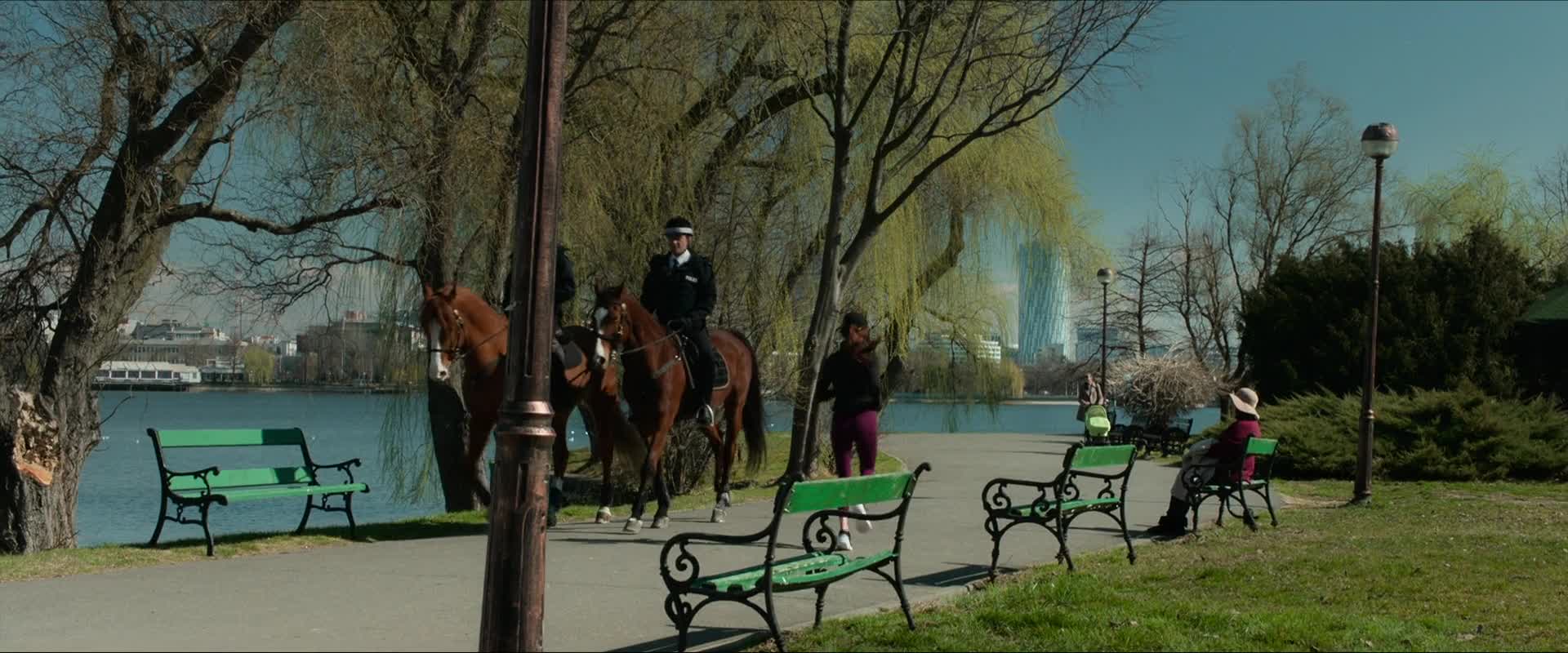 Pomsta  2021 Akcni Krimi Thriller  Cz dabing mkv