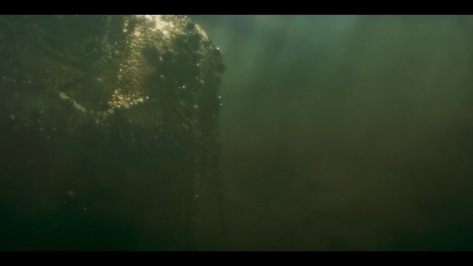 Love Death and Robots S03E09 CZ dabing HD 1080p mkv