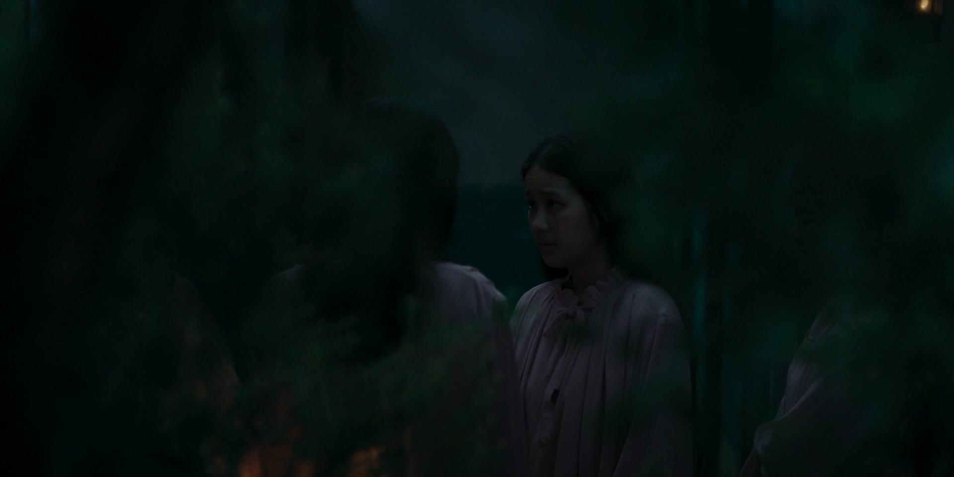 Host 2025 1080p WEBRip x264 AAC5 1 SK titulky mp4