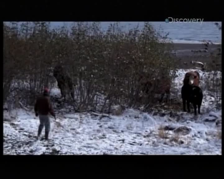 Aljaska posledni divocina 012 SD 02x11 Rodina Kilcheru se posledni 4 mesice mkv