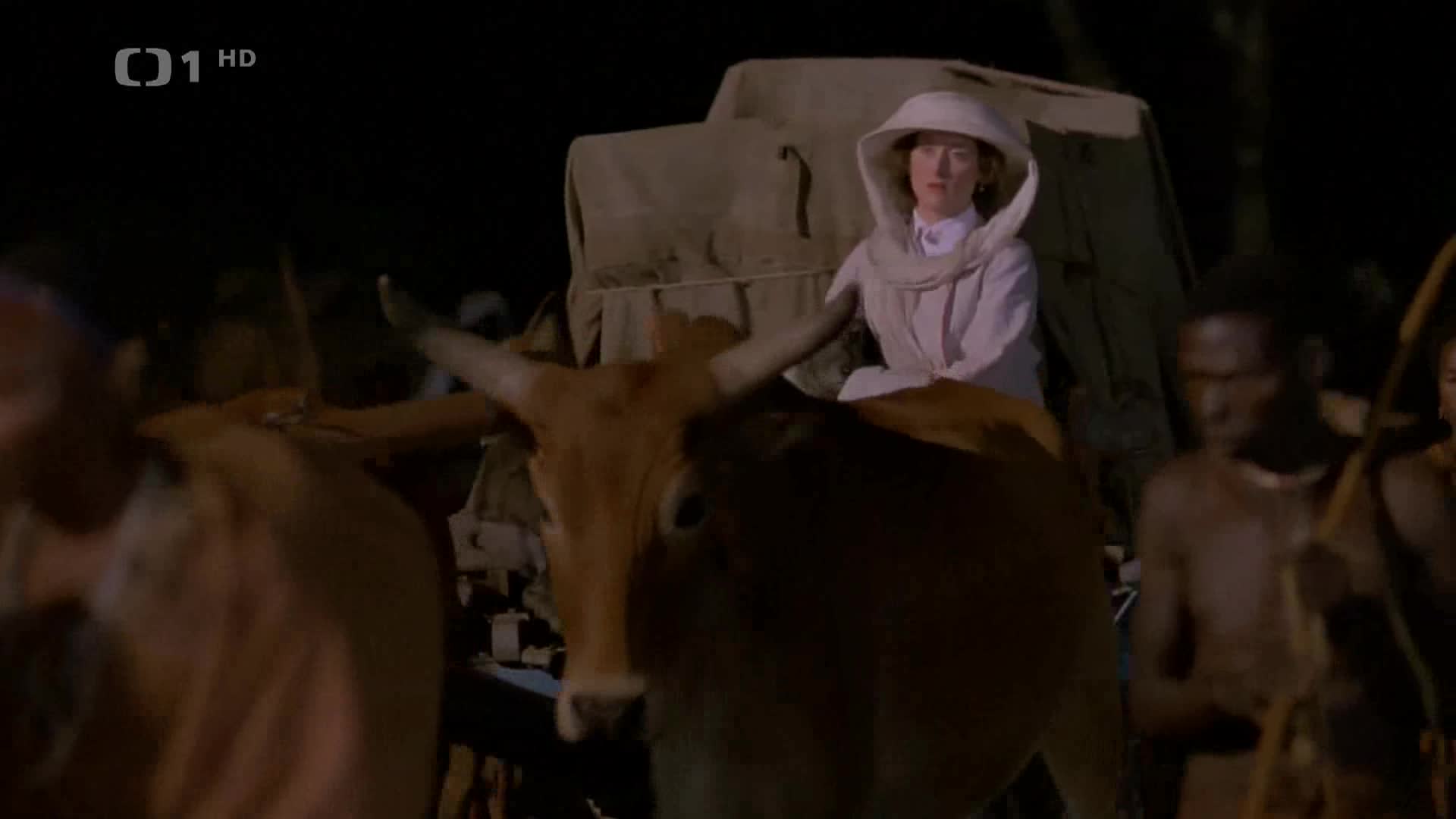 Vzpomínky na Afriku =1985 CZ avi