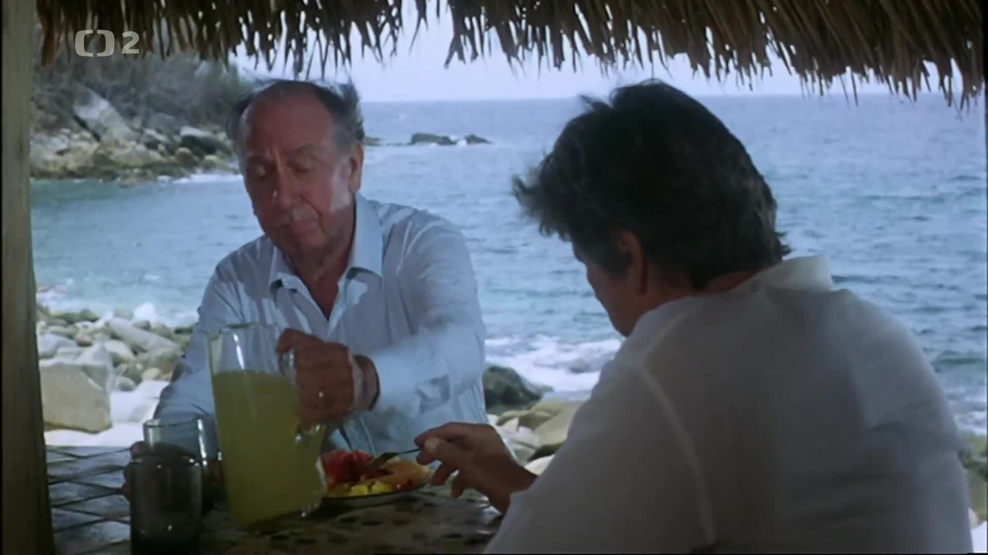 Zločiny mužů {1984} akční, thriller 1080p CZ dabing mkv