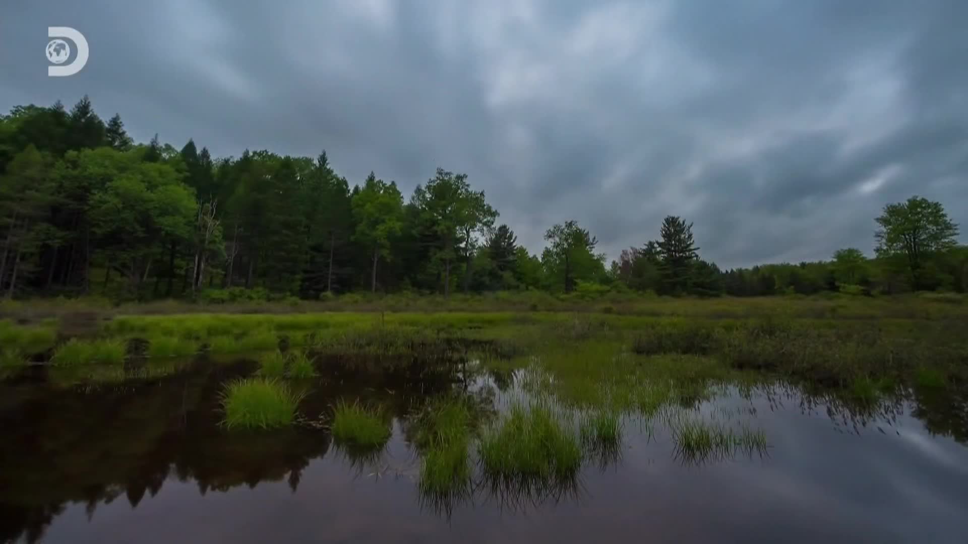 Expedice X S01E09 19 2020 CZ dab 1080p S tymem spustime Americky vlkodlak mkv