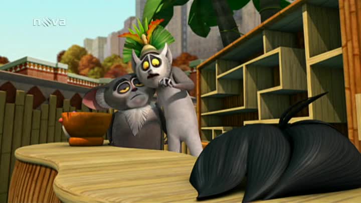Tučňáci z Madagaskaru S02E28 Je chytré hledat tupé Jak pštrosi o lásku prosí SDTV x264 PiP mp4