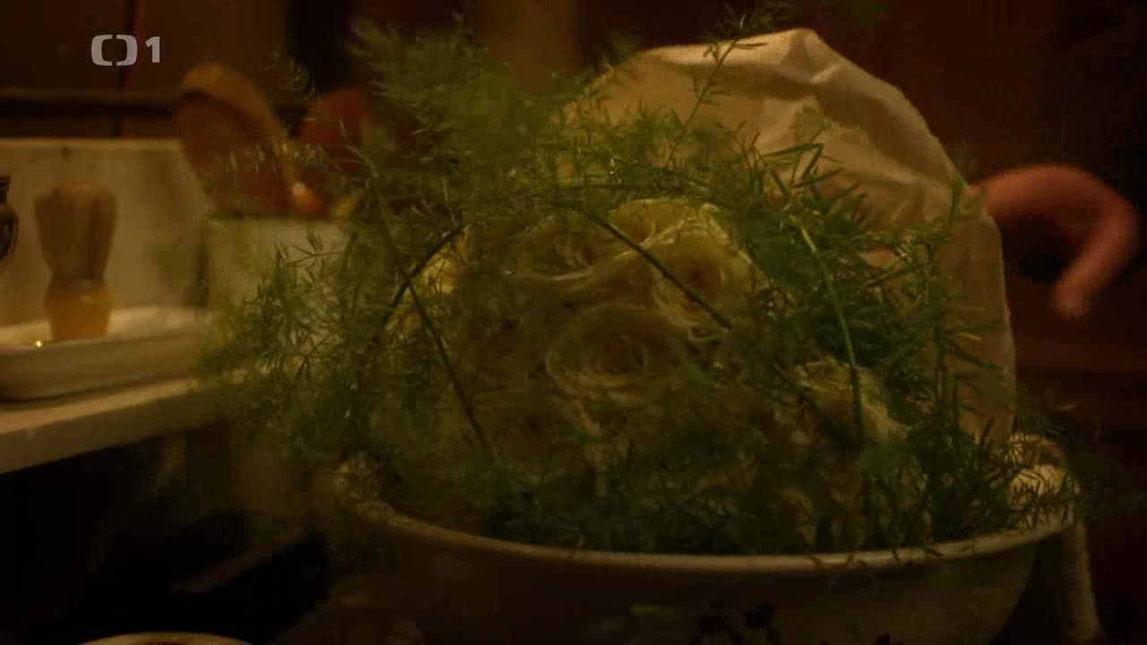 Zločiny Velké Prahy 08 Díl Doktor Herzog avi