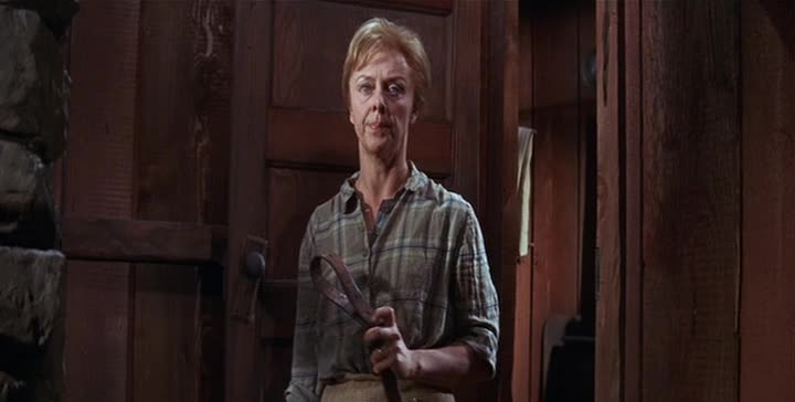 Firecreek 1968 DVDRip CZ mkv