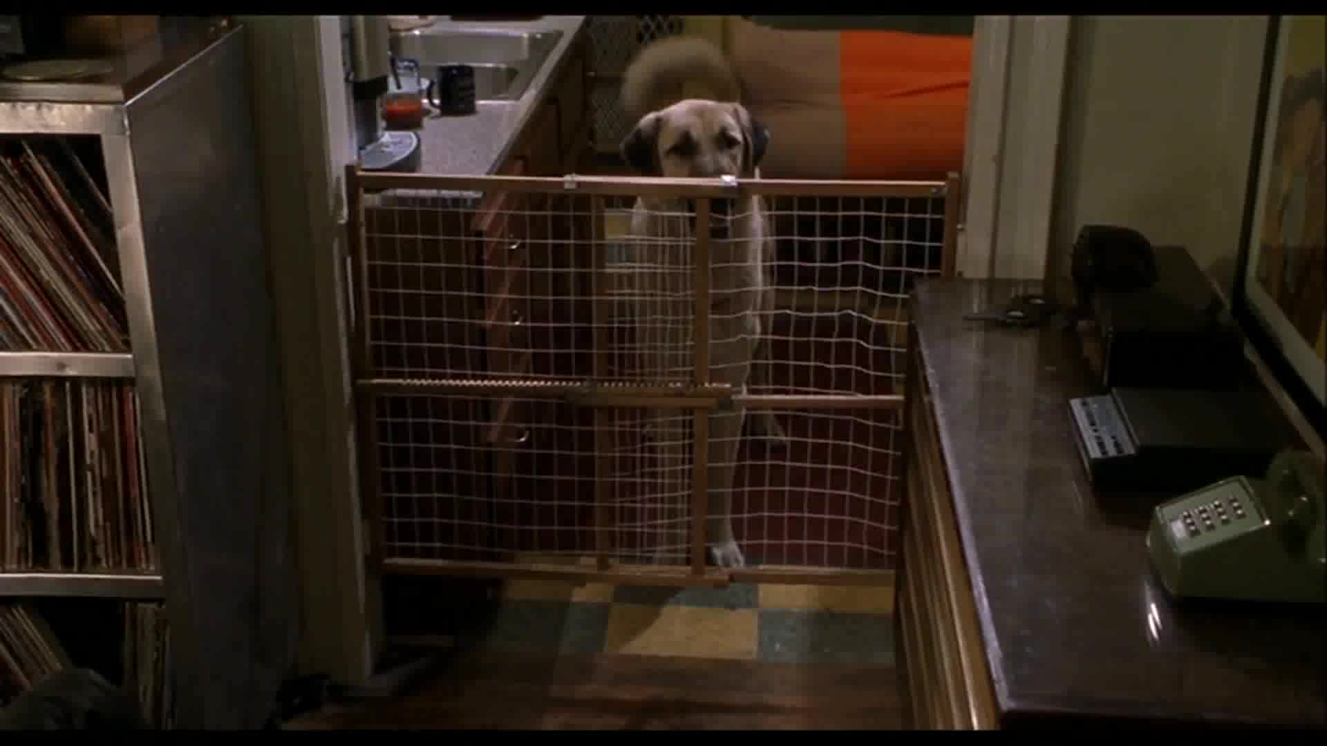 Kate a Leopold =2001 CZ avi