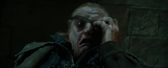 Harry Potter 4 Ohnivy pohar DVDRip XviD CZ Dabing.avi