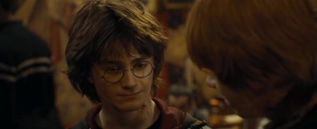 Harry Potter 4 Ohnivy pohar DVDRip XviD CZ Dabing.avi