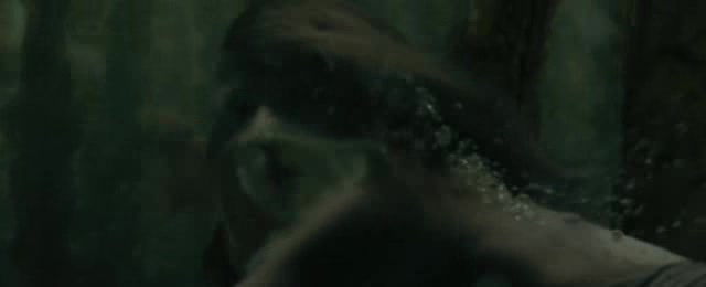 Harry Potter 4 Ohnivy pohar DVDRip XviD CZ Dabing.avi