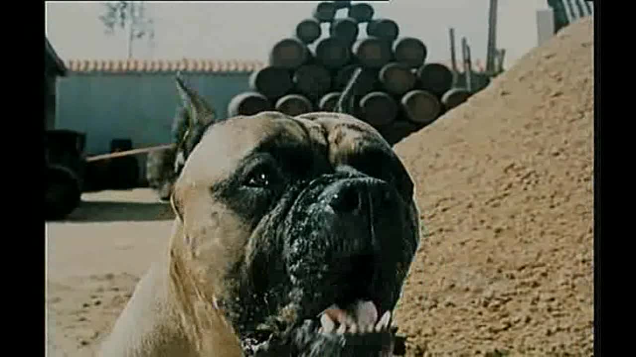 Dařbuján a Pandrhola CZ 1959 Komedie Pohádka DVDRip avi