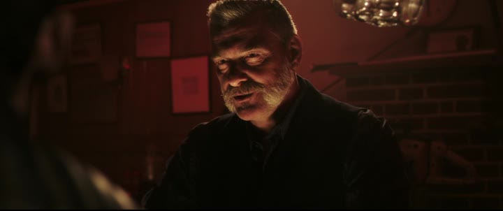 Accident Man Krycí jméno Nehoda (Scott Adkins,Ray Park,Ashley Greene 2022 Akční Bdrip 1080p ) Cz dabing mkv