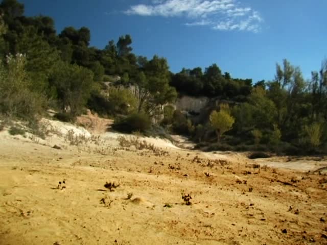 Minuscule S01E17 La fourmiliere infernale (fr 480p) avi