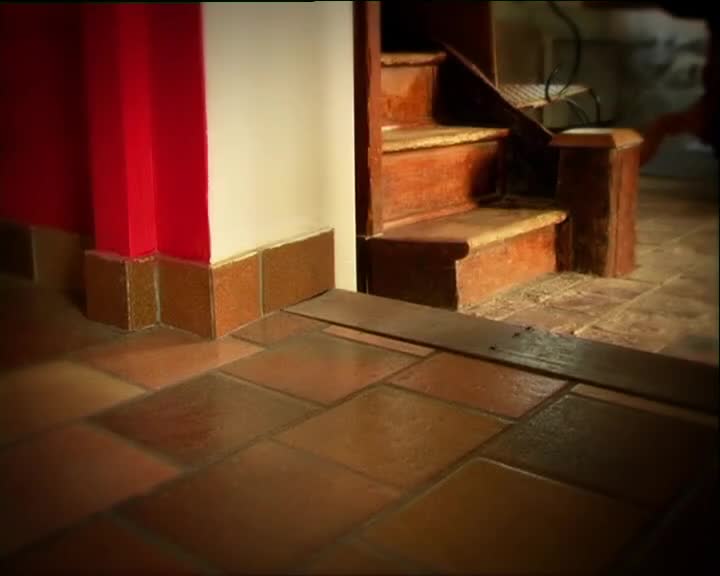 Minuscule S01 Bananas (en 576p) mp4