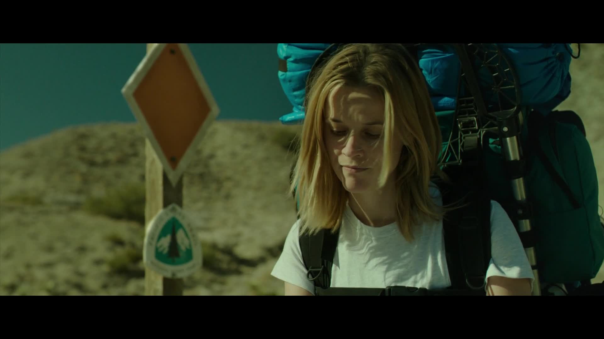 Divočina 2014 CZ dabing HD mp4