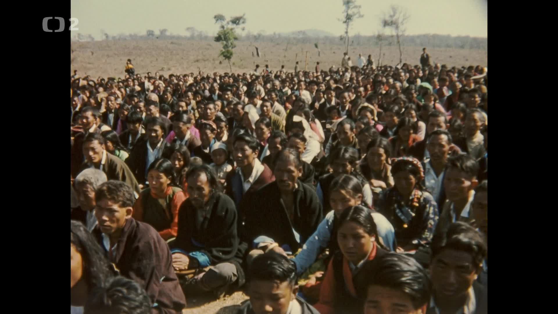 Moudrost štěstí 2024 CZ dabing HD mp4