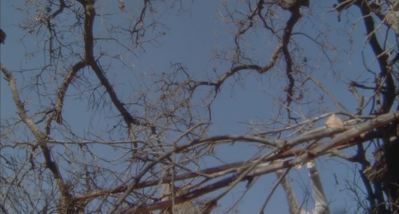 Žhavé výstřely 1991 CZ dab mkv