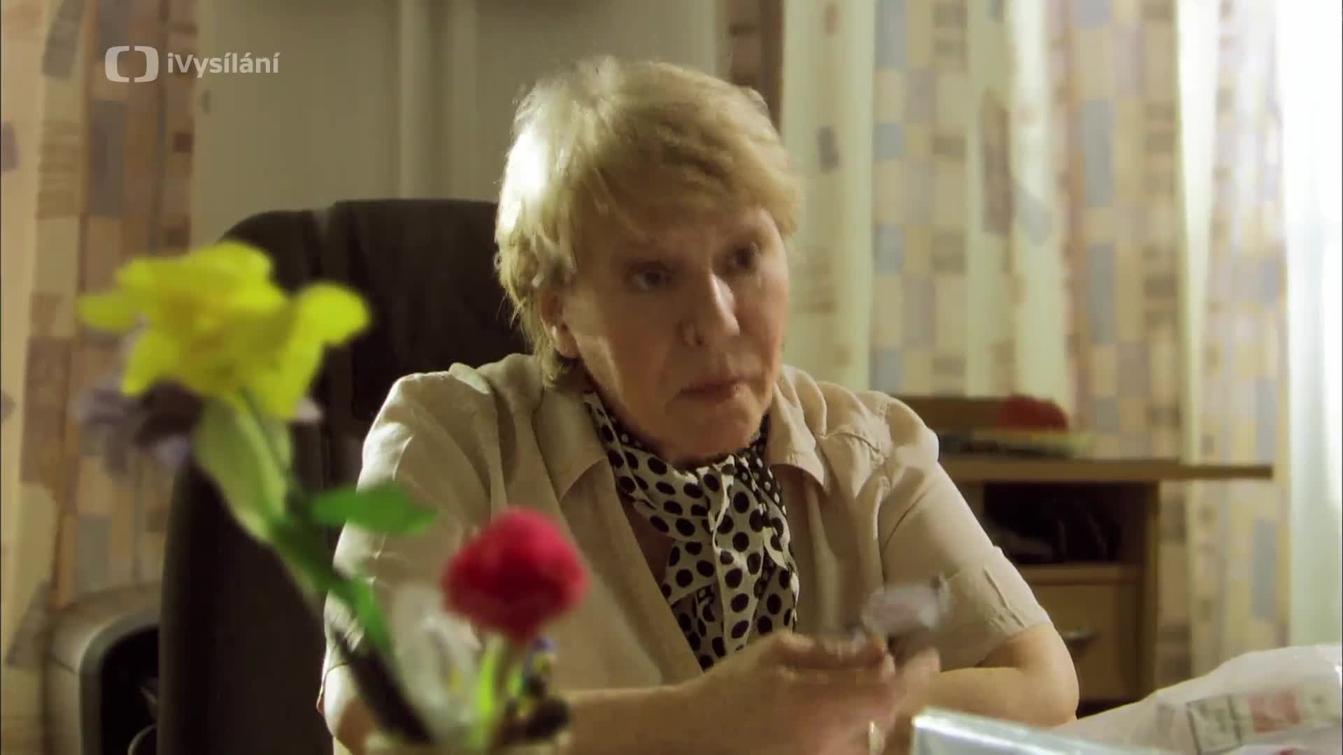 Bludičky S01E01 Pád důvěry {2010} drama 1080p mkv