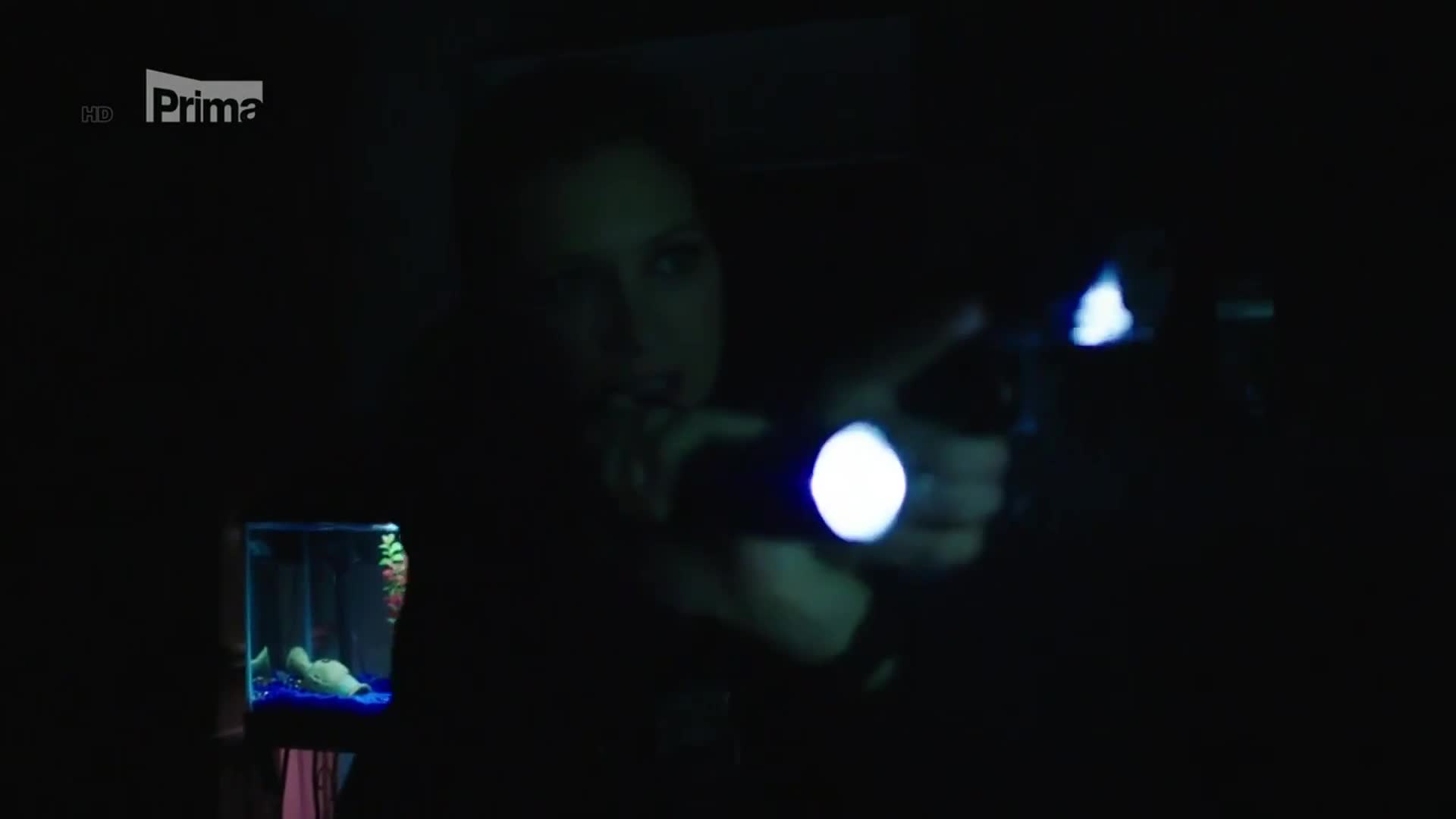 Spravedlnost v krvi (Blue Bloods) S08E10 Těžká hlava mp4