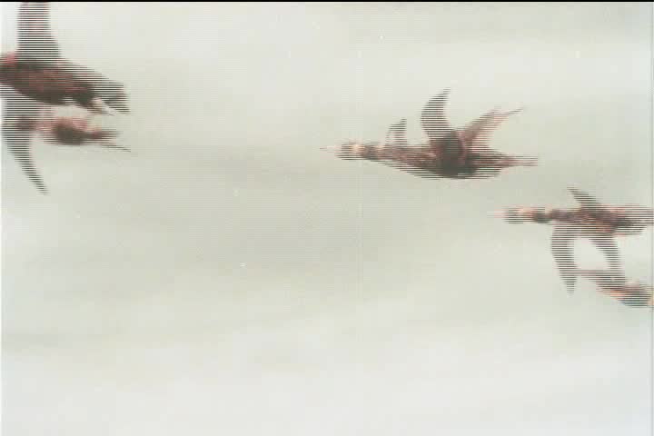 Cesta do pravěku(1955) avi