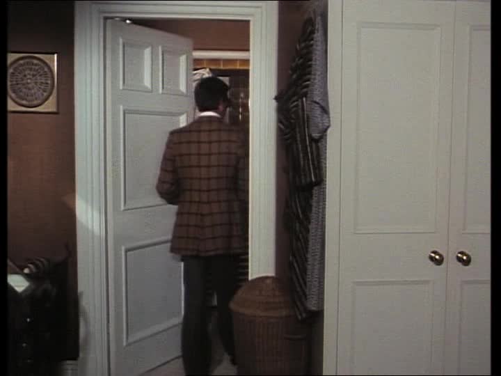 Profesionalove 02 Za vším hledej ženu avi