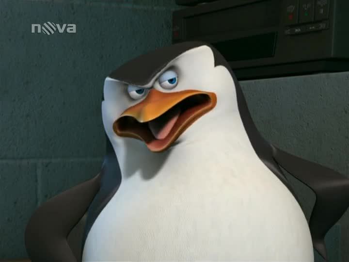 Tučňáci z Madagaskaru S01E25 Rybí nestvůra Zamilovaný Skipper mp4