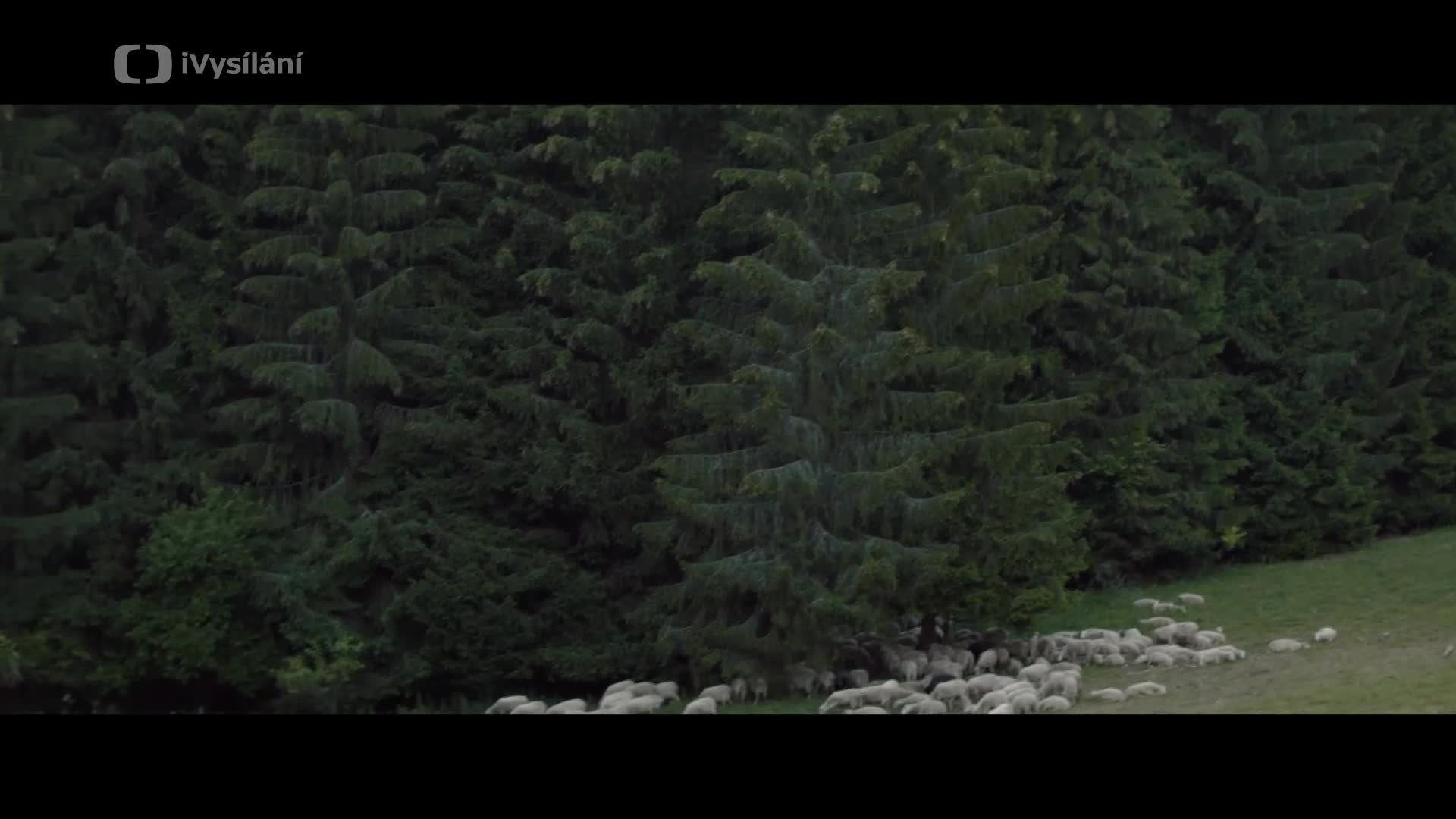 Světlonoc (2022) drama, mysteriózní 1080p mkv